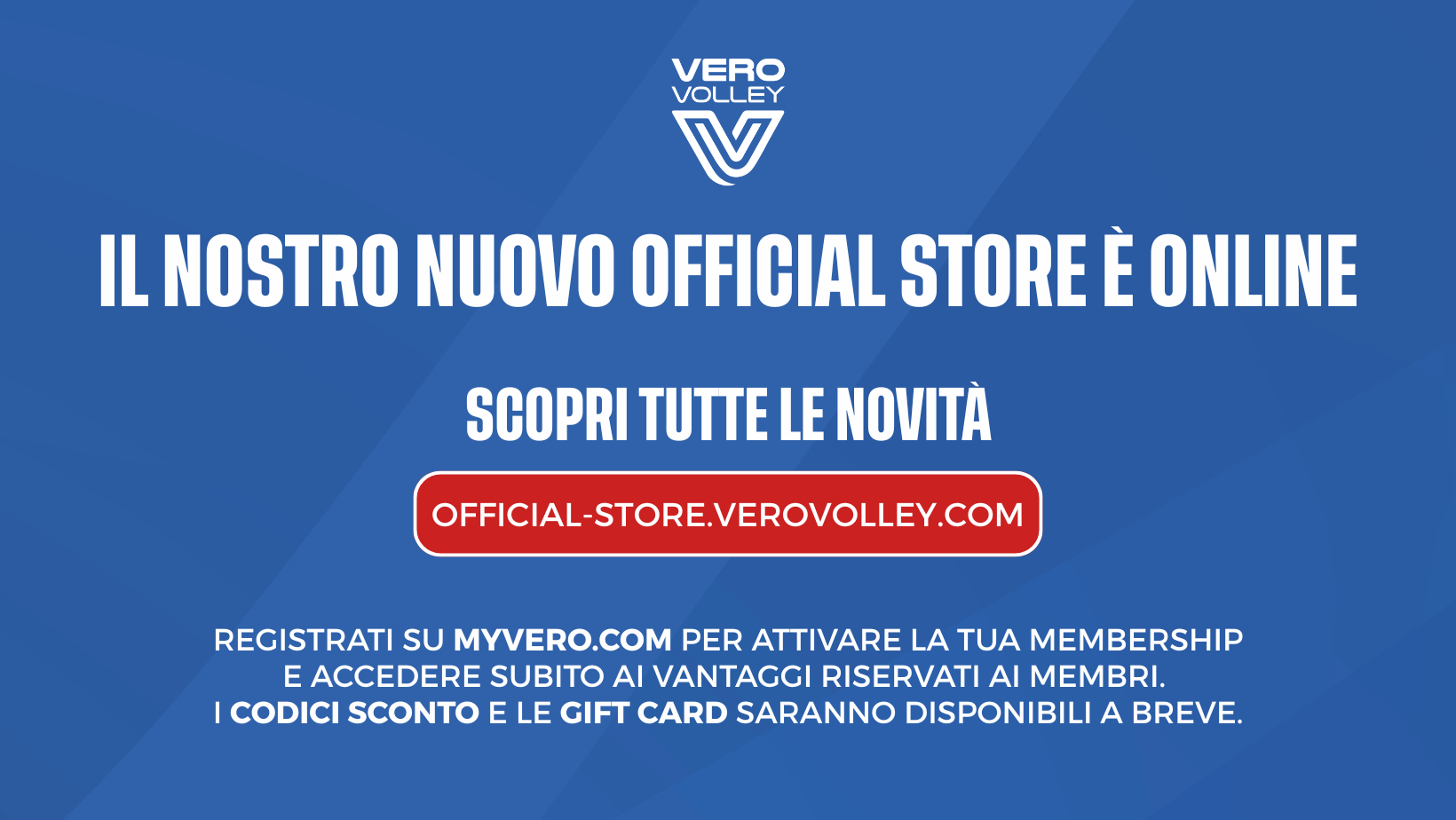 grafiche desktop per store (73)